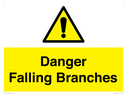 danger-falling-branches~